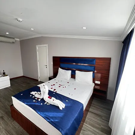 Lion King Provincia di Istanbul